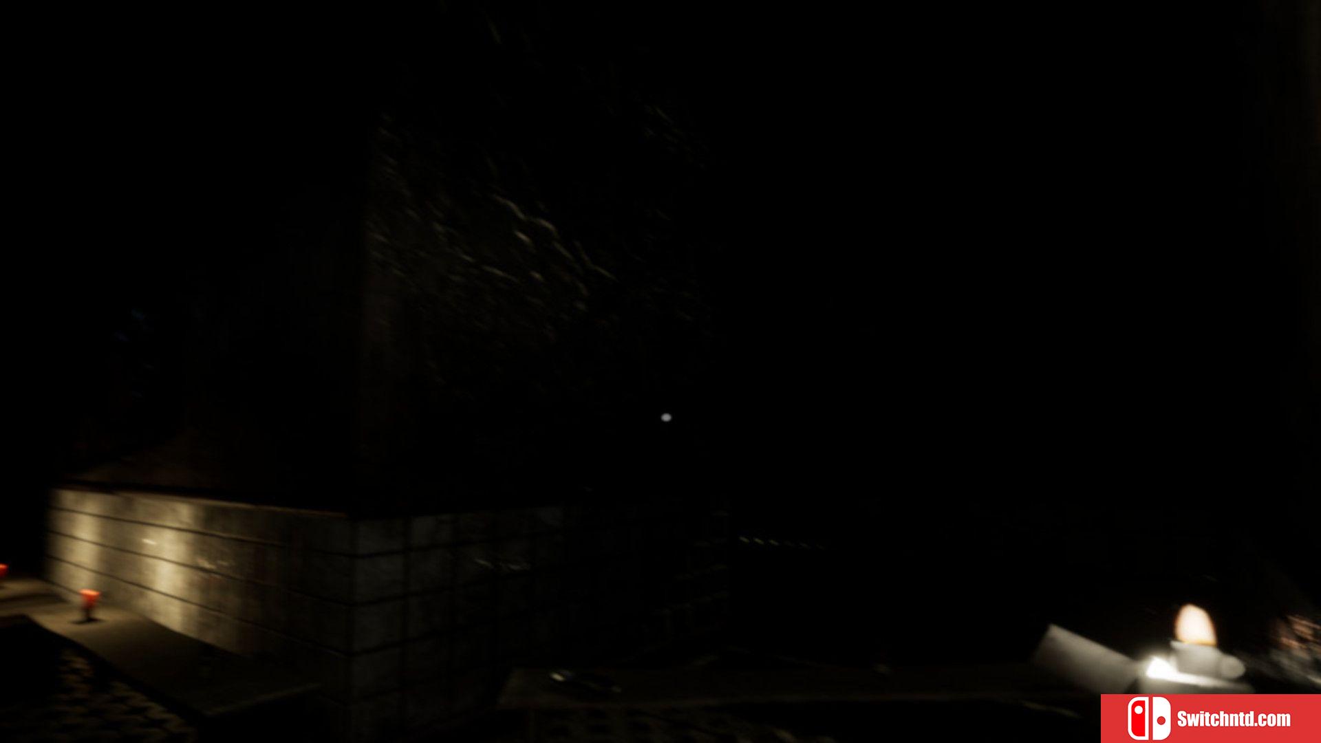 《灰烬疯人院（Ash Asylum）》PLAZA镜像版[EN]_3