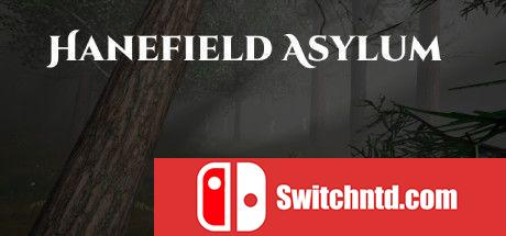 《哈尼菲尔德疯人院（Hanefield Asylum）》SKIDROW镜像版[EN]_0