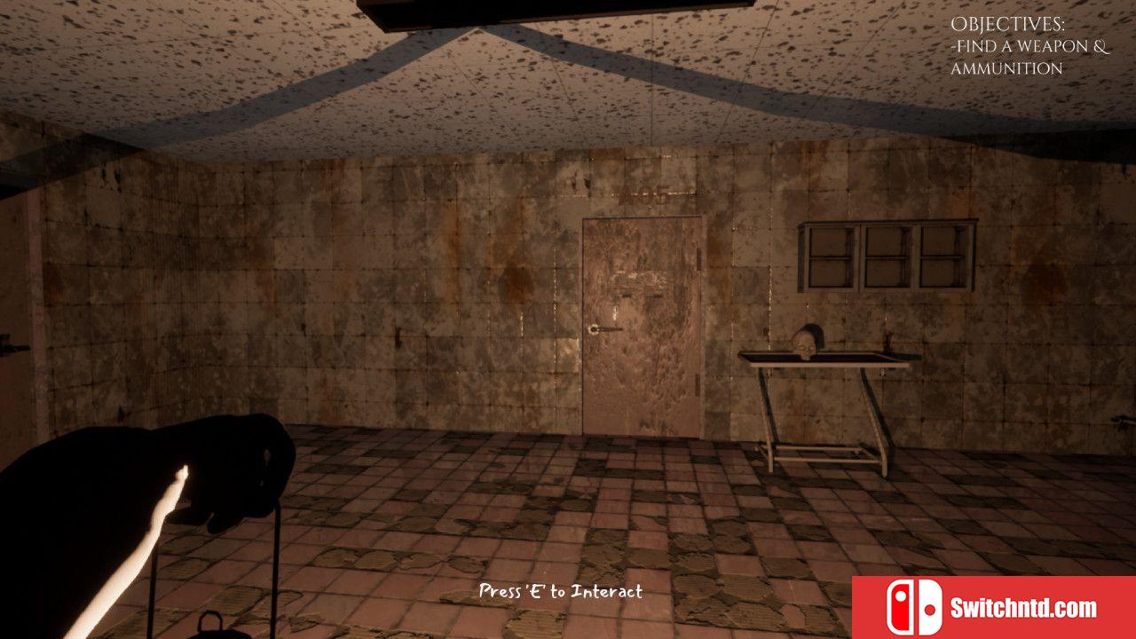 《哈尼菲尔德疯人院（Hanefield Asylum）》SKIDROW镜像版[EN]_3