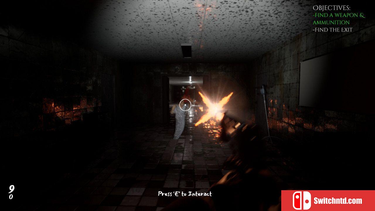 《哈尼菲尔德疯人院（Hanefield Asylum）》SKIDROW镜像版[EN]_4