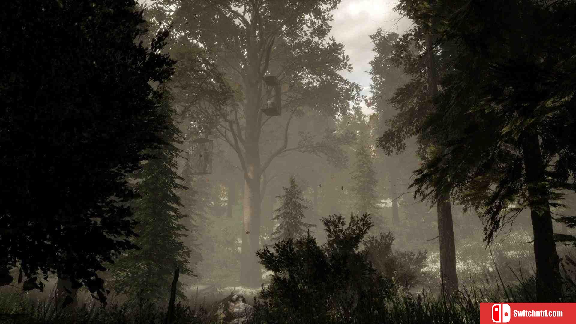 《森林：逃离房间VR（The Woods: VR Escape the Room）》VREX镜像版[EN]_1