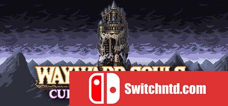 《不屈的灵魂（Wayward Souls）》DARKZER0硬盘版[EN]_0