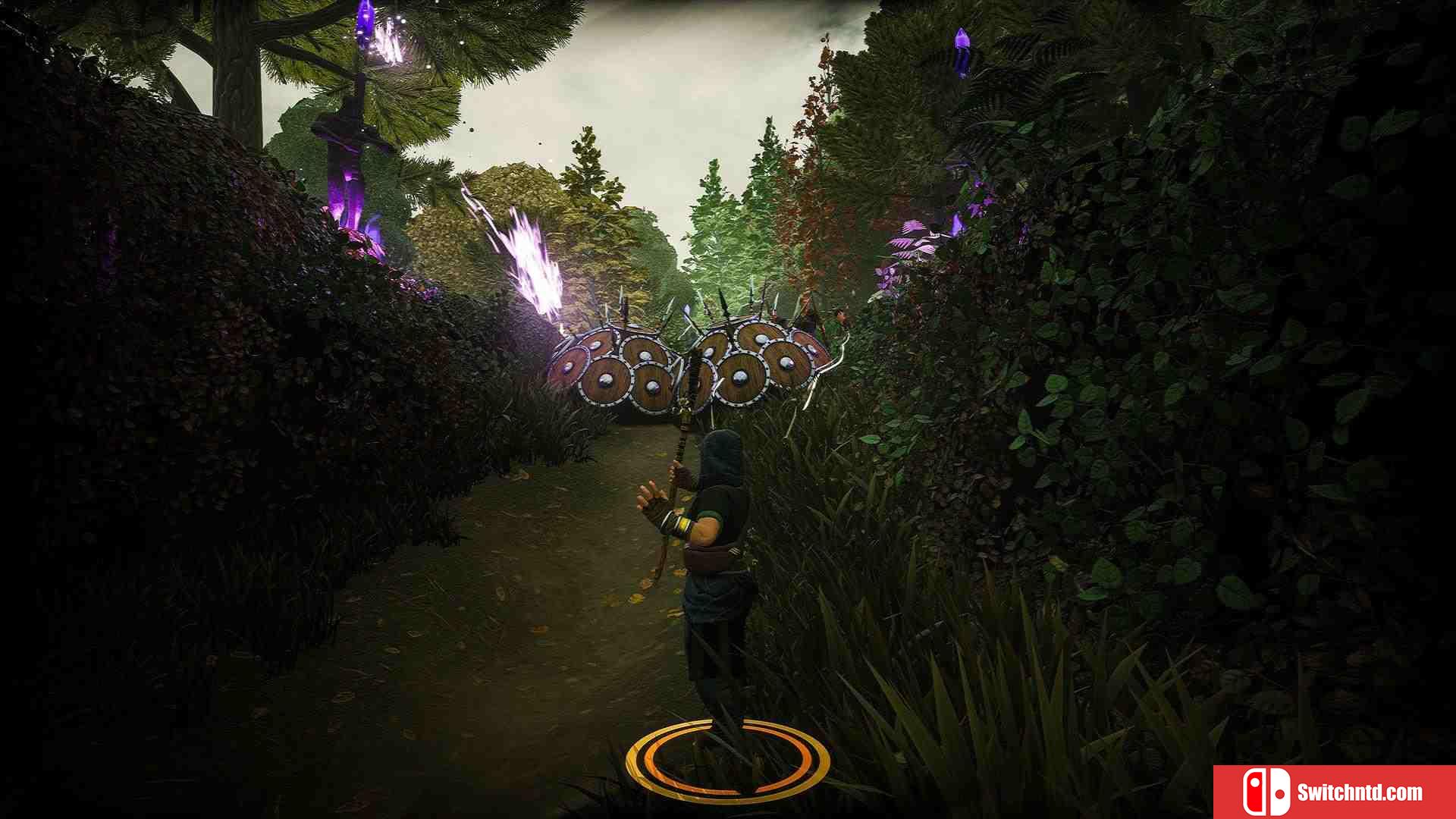 《The Waylanders（The Waylanders）》Early Access P2P硬盘版[EN]_3