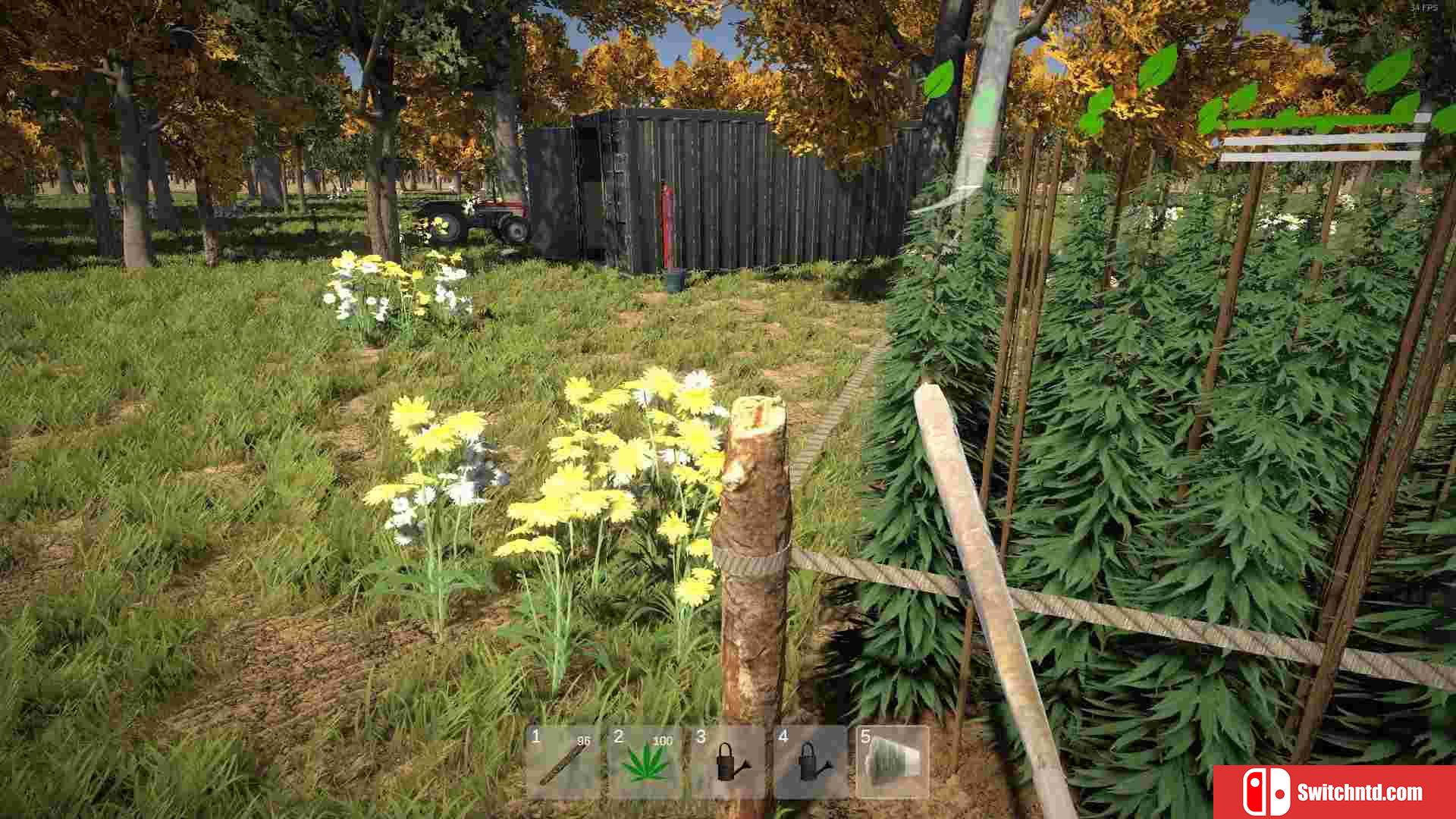 《杂草农夫模拟器（Weed Farmer Simulator）》Build 5634893 P2P硬盘版[EN]_2