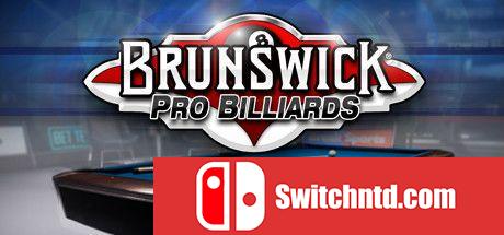 《Brunswick职业台球（Brunswick Pro Billiards）》SKIDROW镜像版[EN]_0