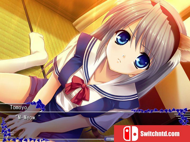 《智代后记：美丽的生活（Tomoyo After Wonderful Life）》B.3159213 Chronos硬盘版[EN]_1