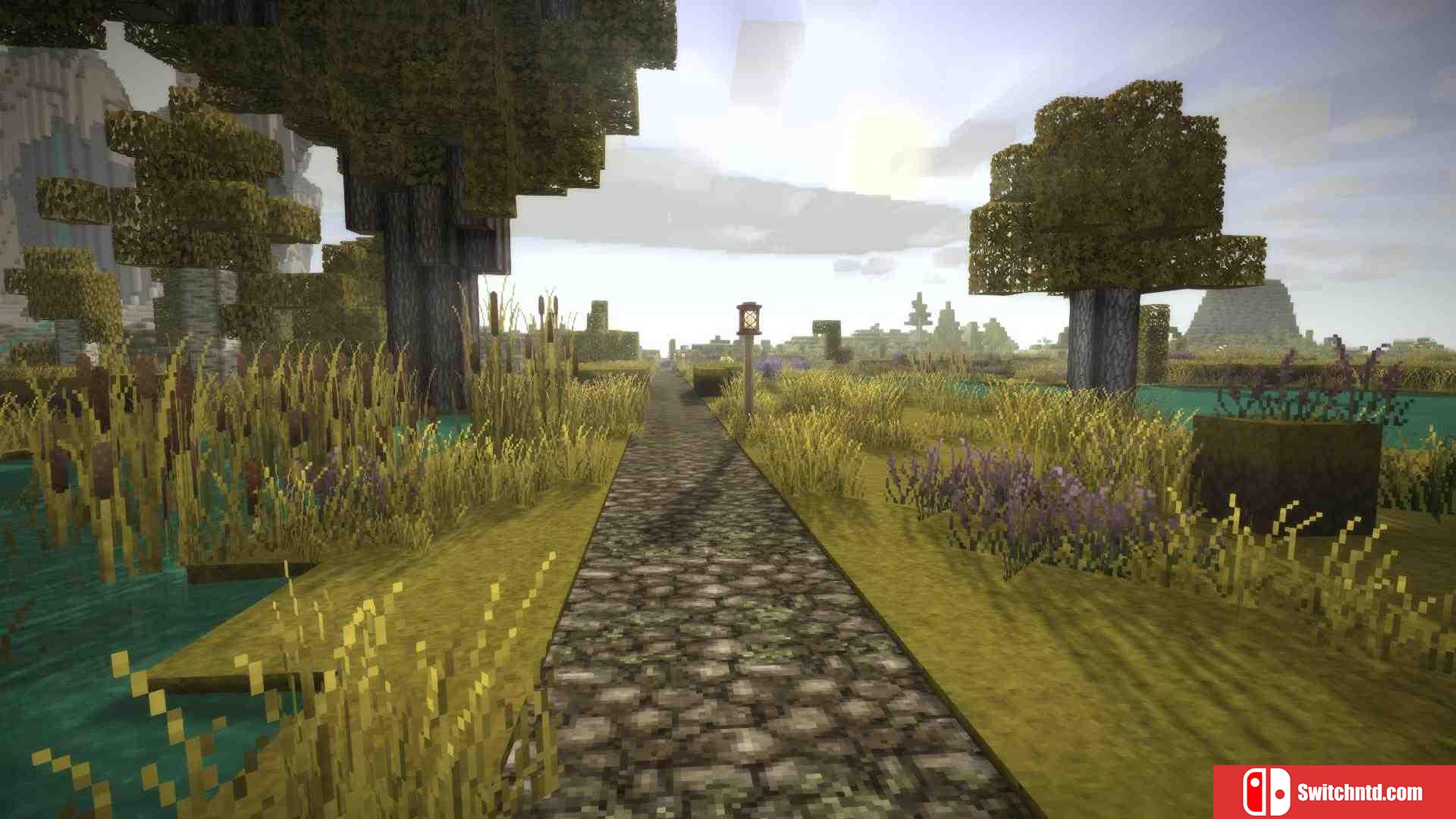 《复古故事（Vintage Story）》v1.14.2 P2P硬盘版[EN]_1