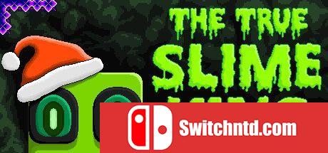 《真正的史莱姆王（The True Slime King）》Build 6012740 Chronos硬盘版[EN]_0