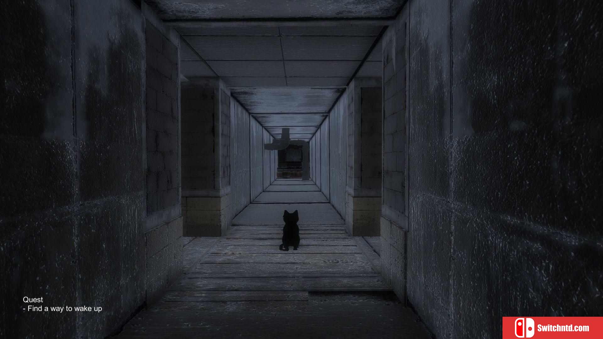 《黑猫（Black Cat）》Build 6205135 Chronos硬盘版[EN]_4