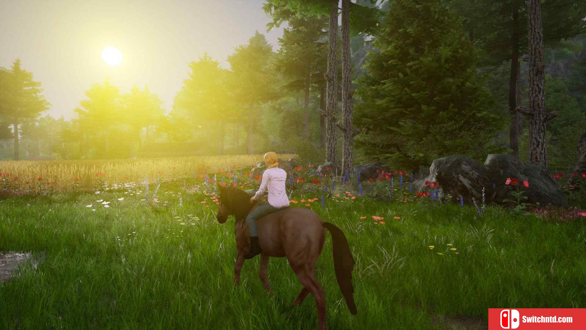 《骑马豪华版2（Horse Riding Deluxe 2）》TiNYiSO镜像版[EN]_2