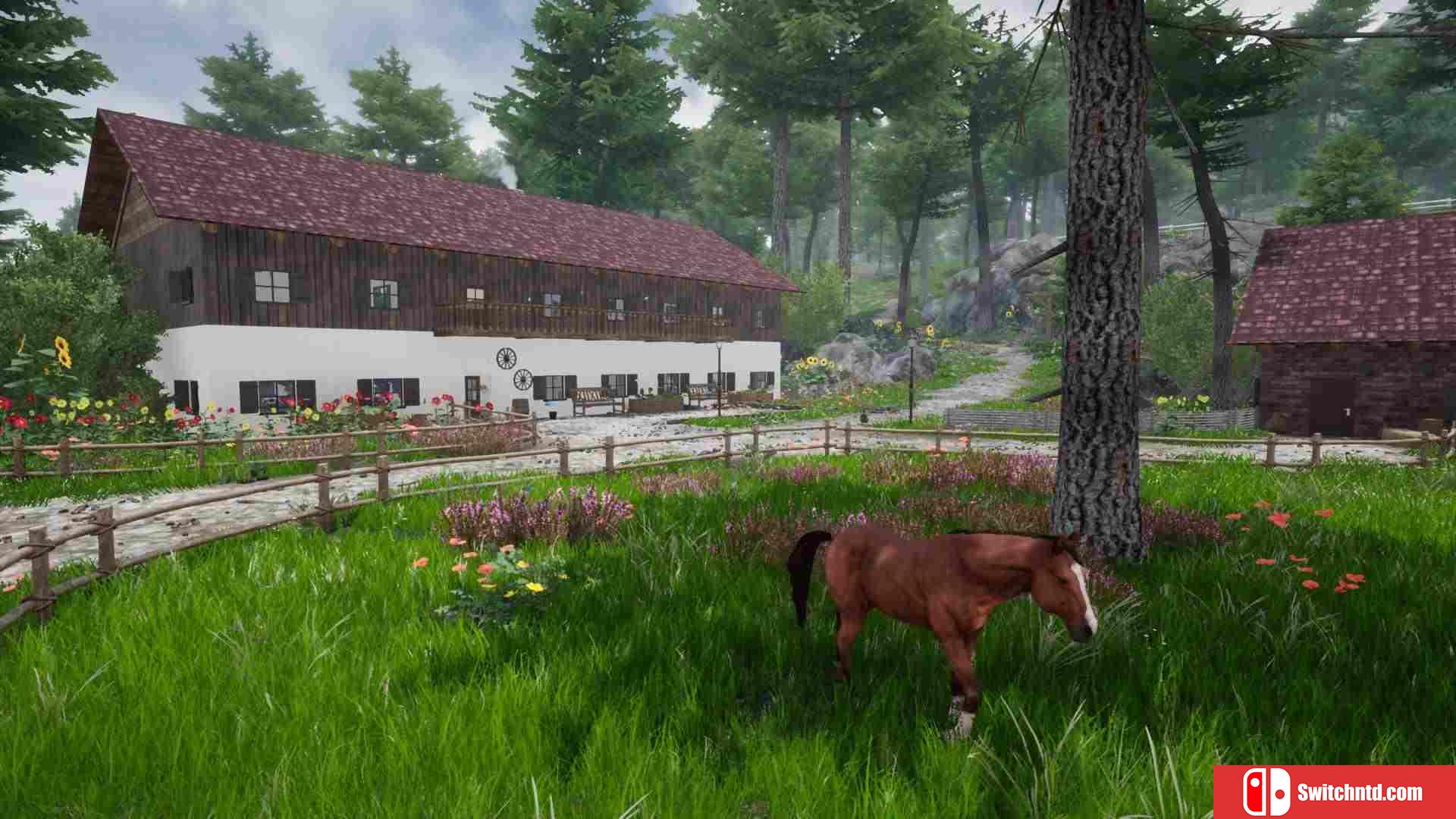 《骑马豪华版2（Horse Riding Deluxe 2）》TiNYiSO镜像版[EN]_1