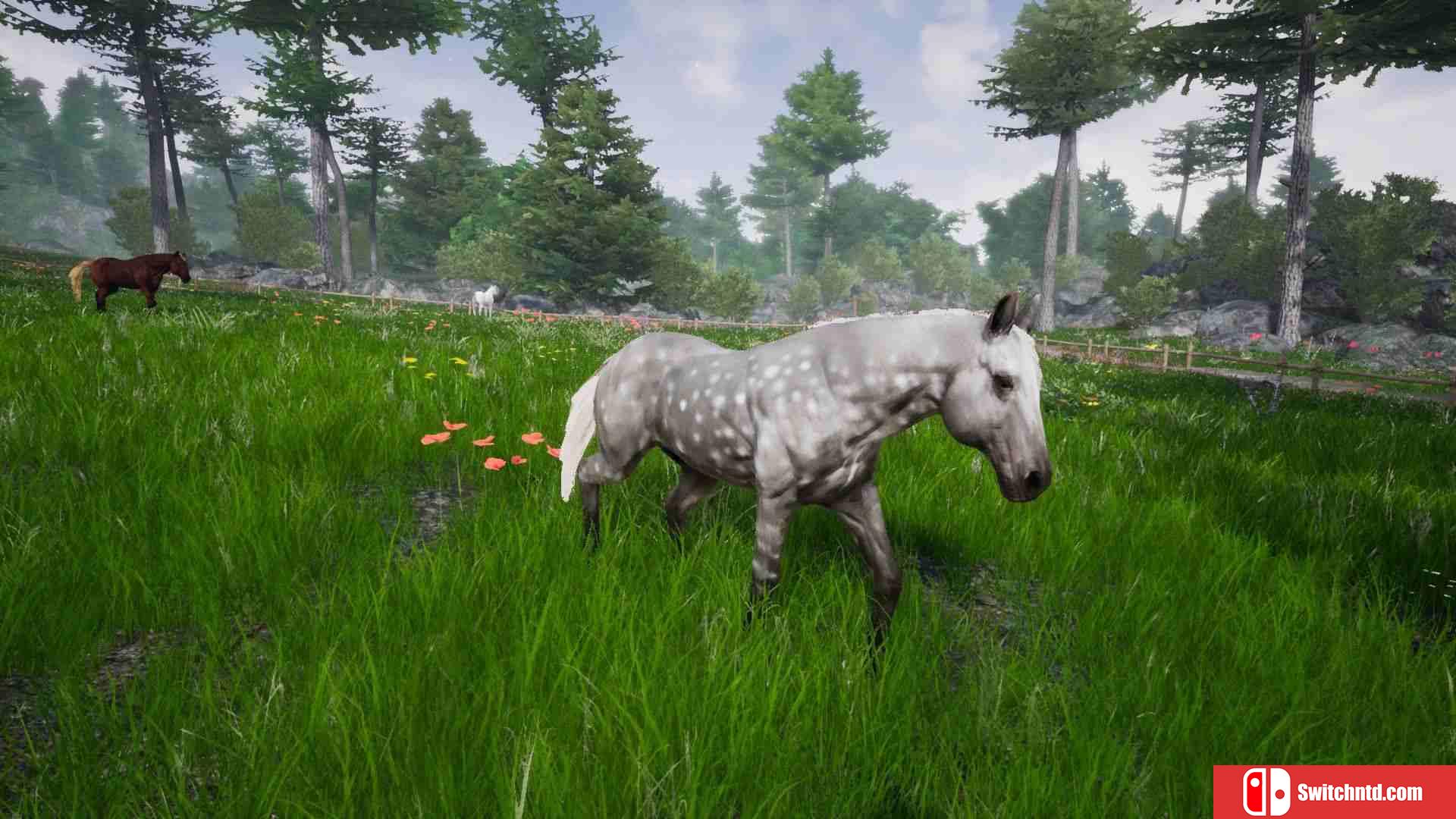 《骑马豪华版2（Horse Riding Deluxe 2）》TiNYiSO镜像版[EN]_3