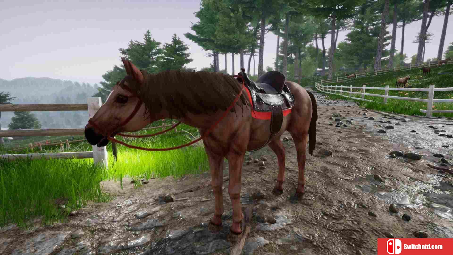 《骑马豪华版2（Horse Riding Deluxe 2）》TiNYiSO镜像版[EN]_4