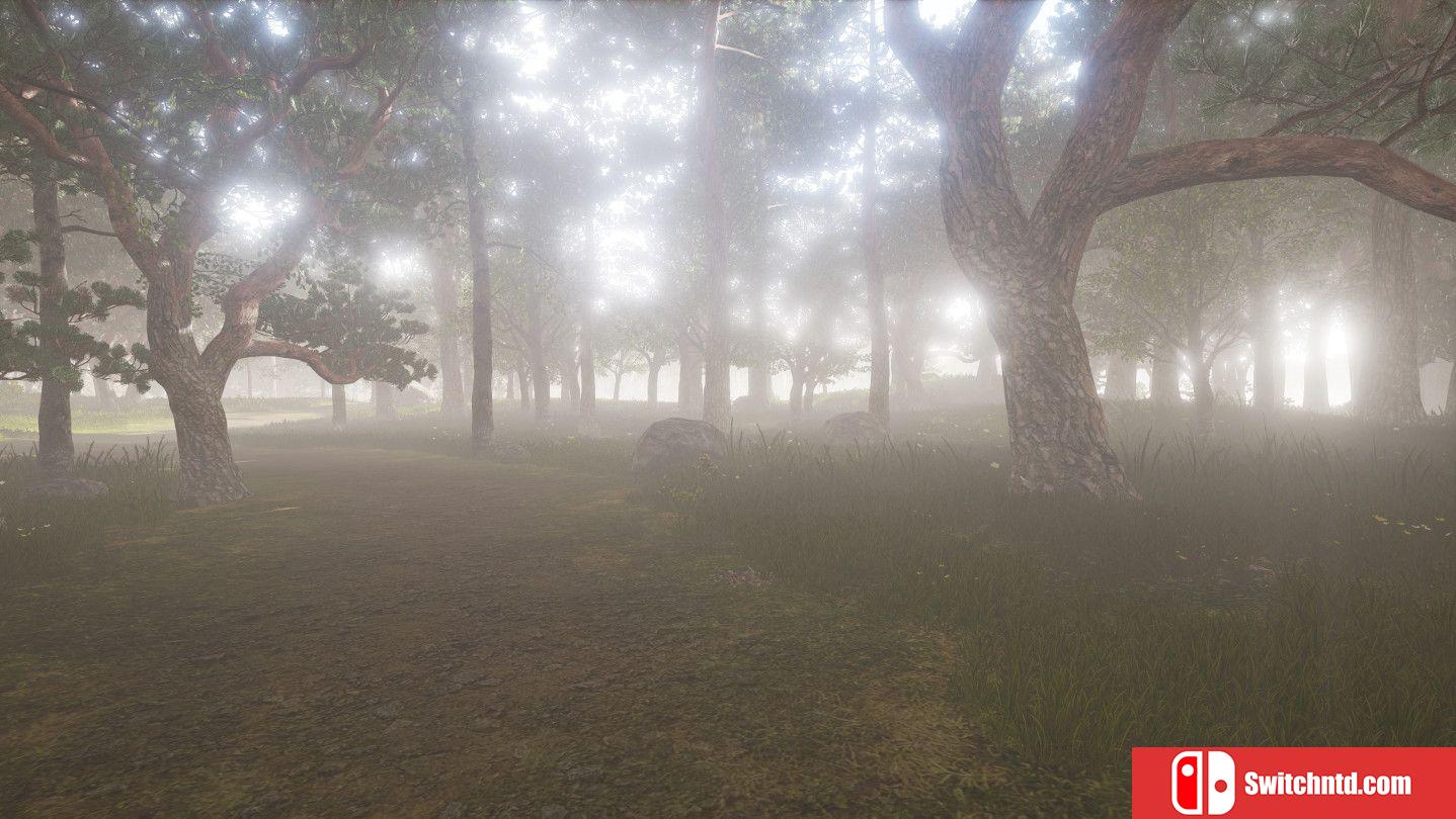 《ZendoVR（ZendoVR）》TiNYiSO镜像版[EN]_3