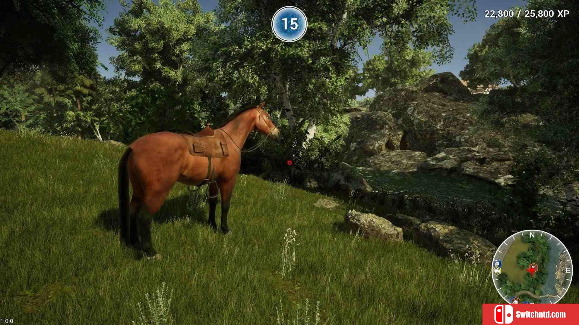 《动物医生（Animal Doctor）》TiNYiSO镜像版[EN]_4