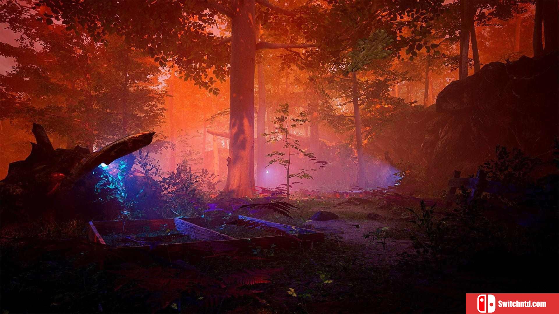 《传说中的森林（The Fabled Woods）》Build 6592461 Chronos硬盘版[EN/JP]_5