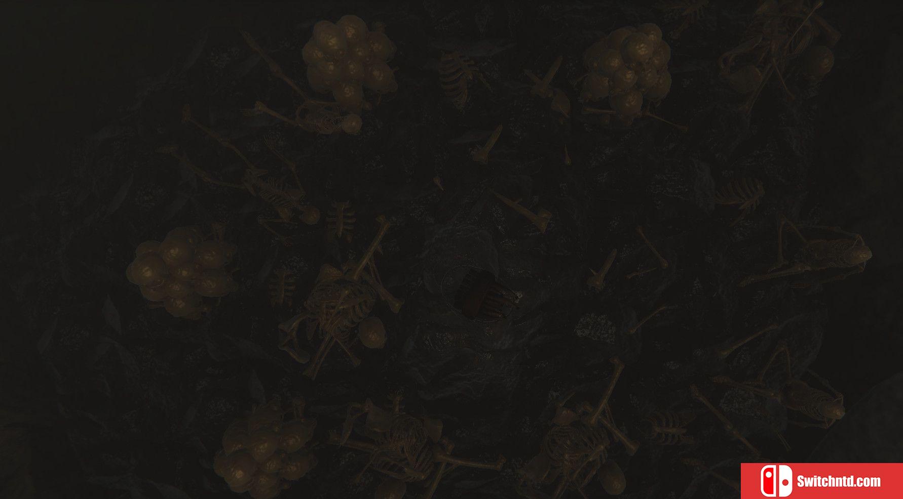 《燃烧的灰烬（BURNT ASHES）》TiNYiSO镜像版[EN]_5