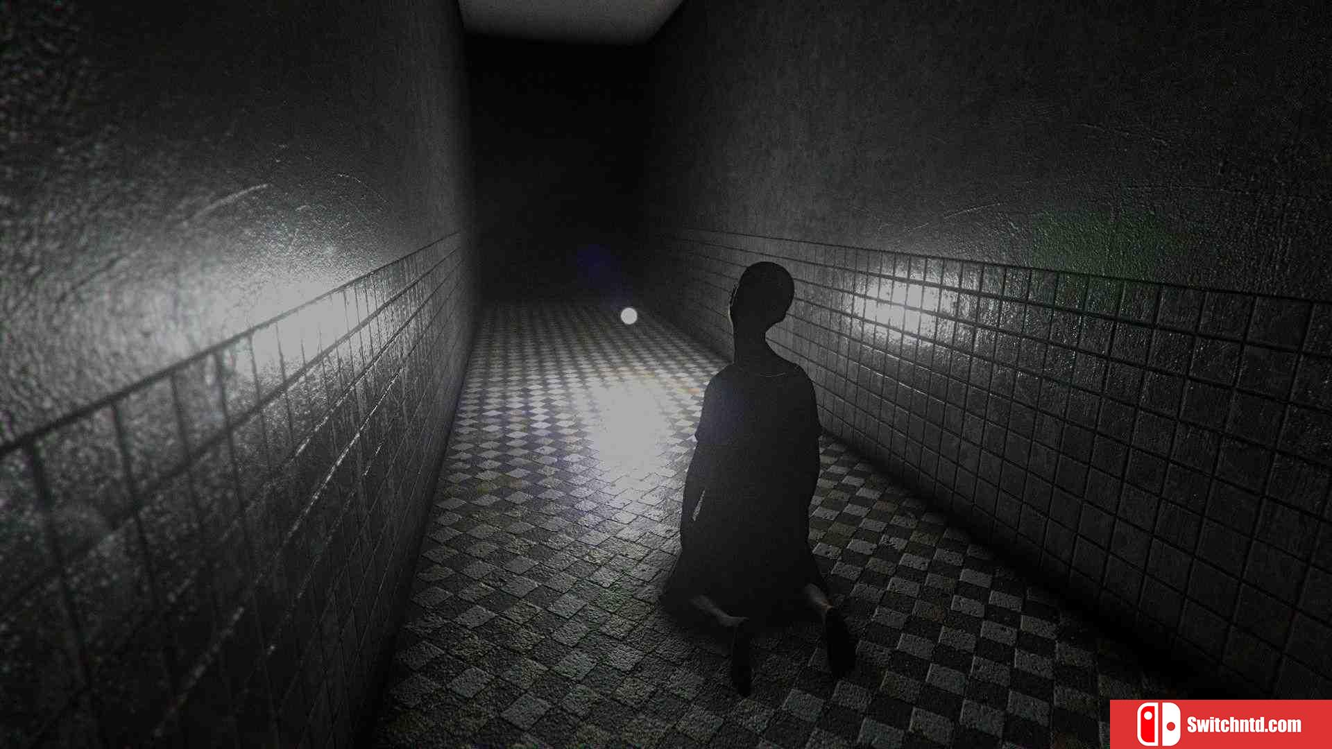 《S.W.A.N.：切尔诺贝利未勘之地（S.W.A.N.: Chernobyl Unexplored）》PLAZA镜像版[EN]_3