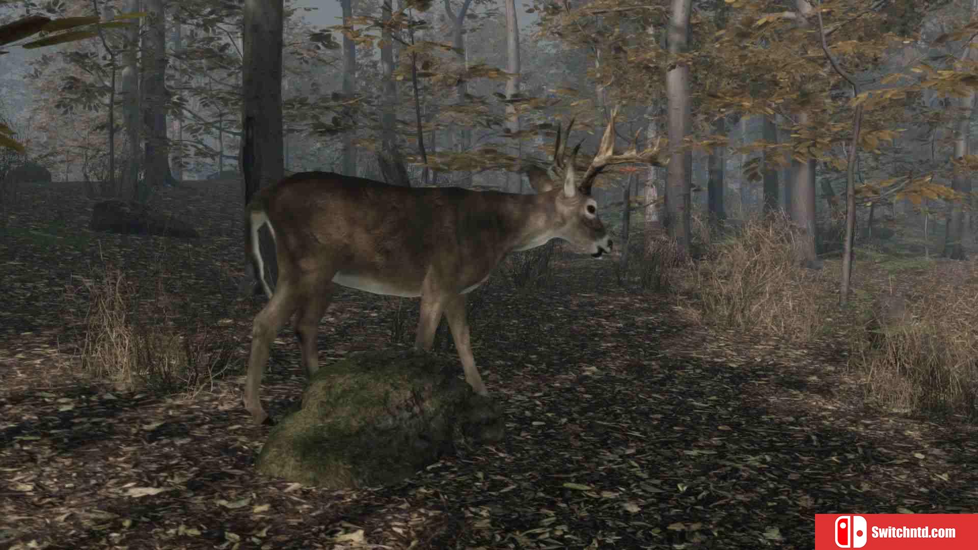 《职业猎鹿人2（Pro Deer Hunting 2）》PLAZA镜像版[EN]_1