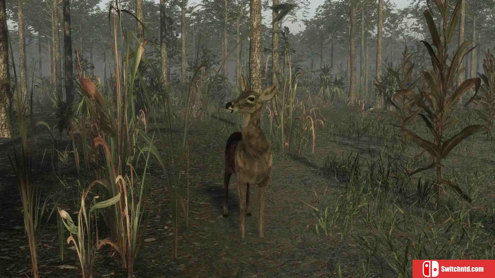 《职业猎鹿人2（Pro Deer Hunting 2）》PLAZA镜像版[EN]_3