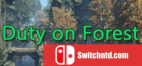 《森林责任（Duty on Forest）》v16.05.2021 Haoose硬盘版[EN]_0