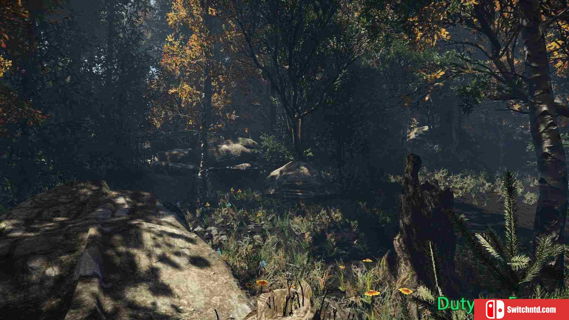 《森林责任（Duty on Forest）》v16.05.2021 Haoose硬盘版[EN]_5