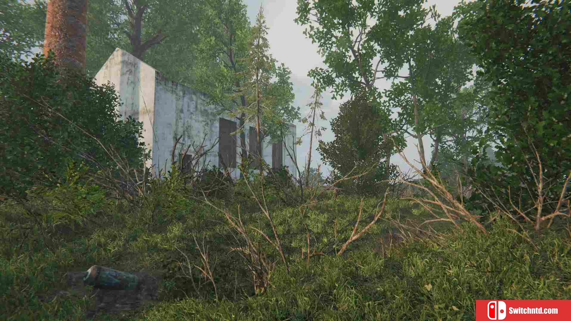 《风静之地（Where Wind Becomes Quiet）》SKIDROW镜像版[EN]_3