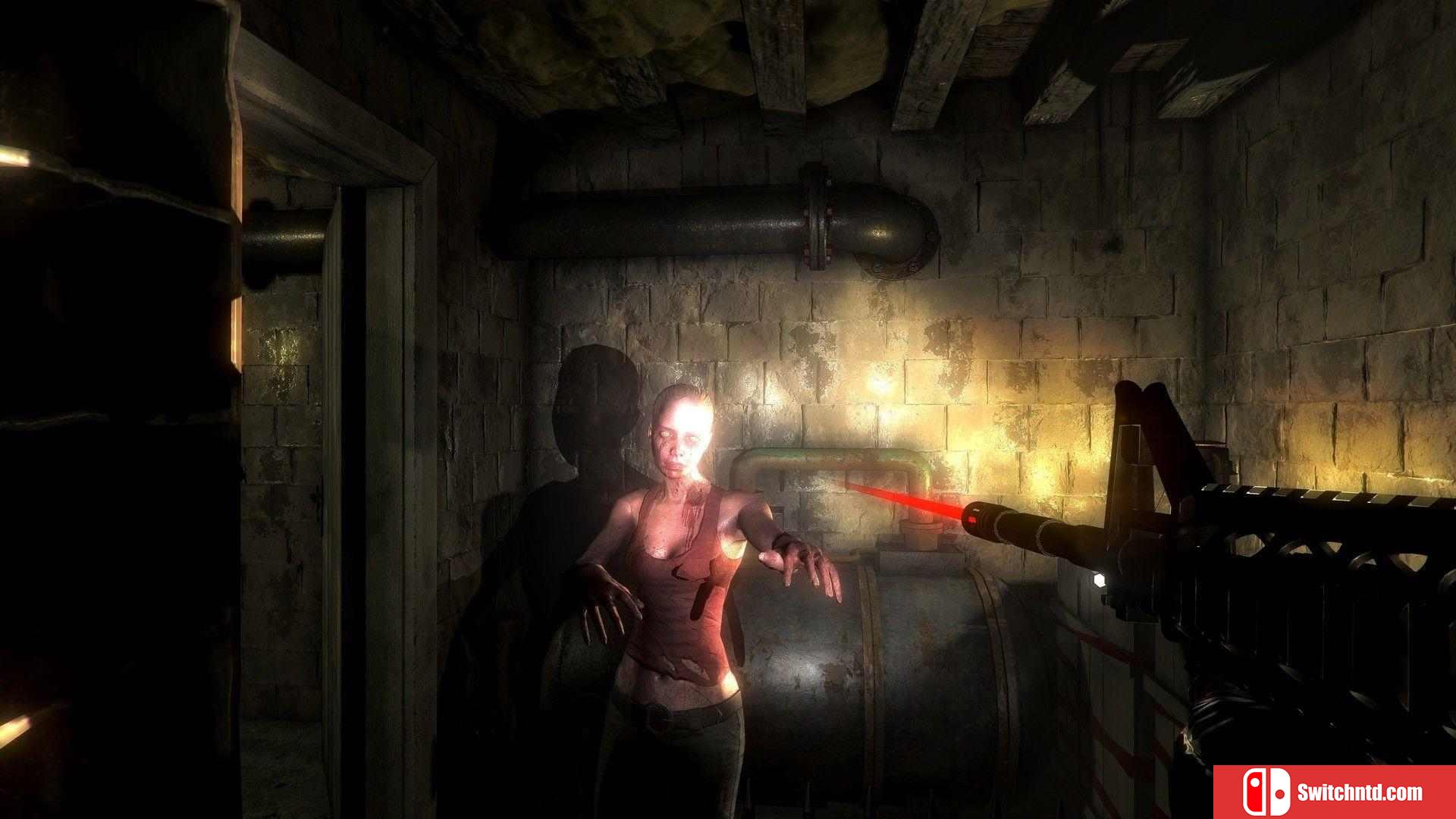 《爆发：无尽的噩梦（Outbreak: Endless Nightmares）》DOGE镜像版[EN]_3