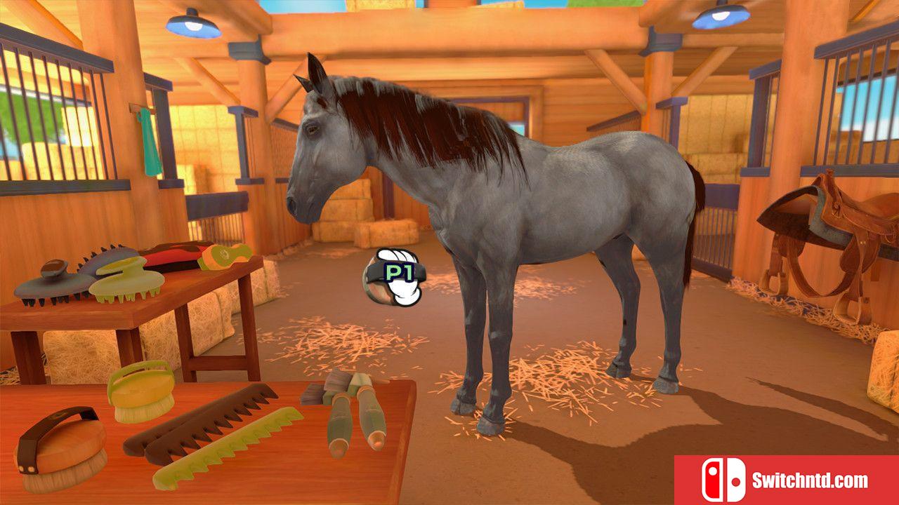 《马术训练（Equestrian Training）》DARKSiDERS镜像版[EN]_5