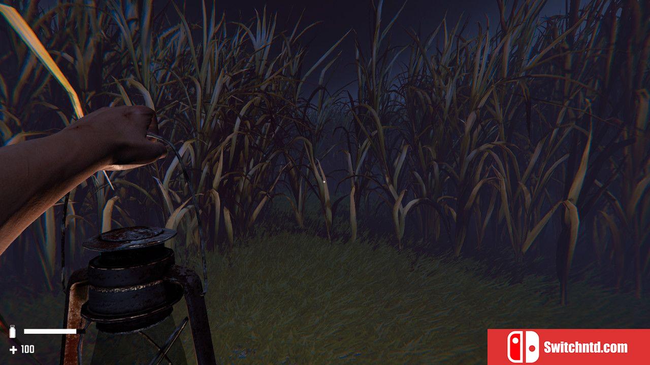 《草地（The Grass）》DARKSiDERS镜像版[EN]_2
