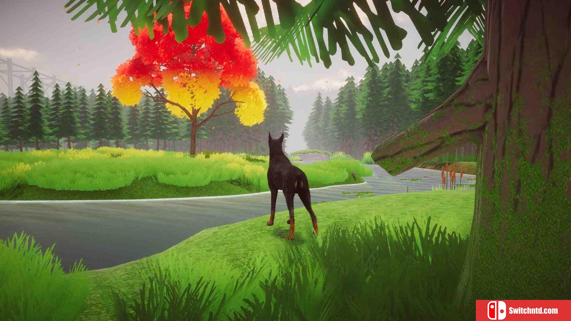 《Django（Django）》DARKSiDERS镜像版[EN]_1