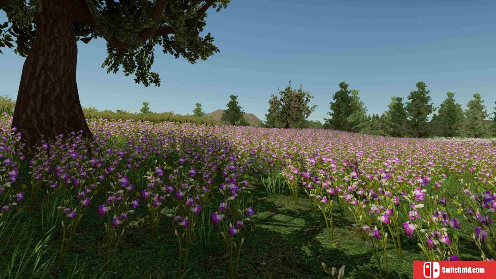 《我的乡村生活（My Village Life）》Early Access P2P硬盘版[EN]_3