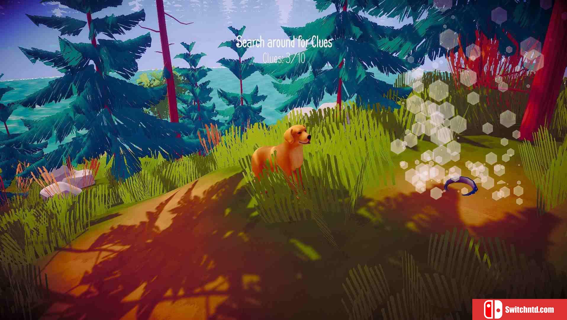 《迷途的狗（The Lost Dog）》PLAZA镜像版[EN]_2