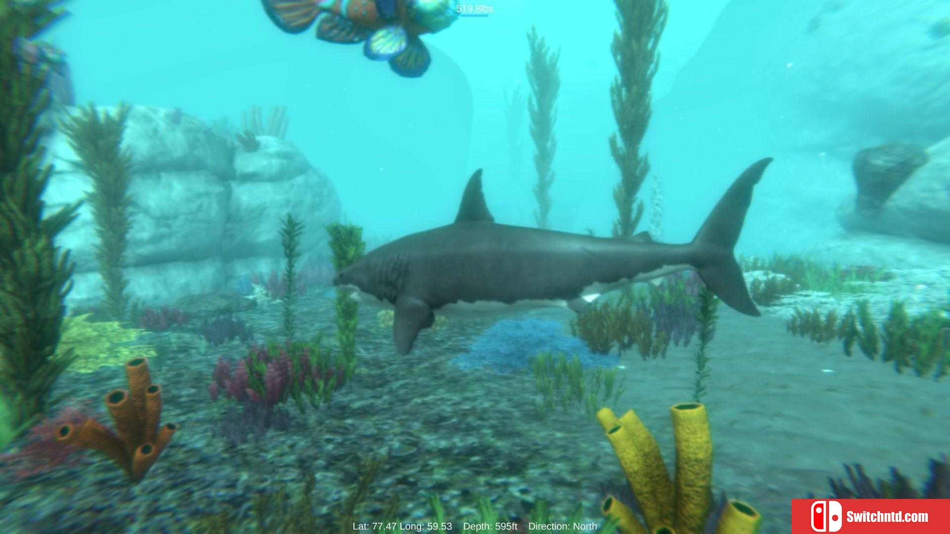 《阿尔法鲨（Alpha Shark）》DARKSiDERS镜像版[EN]_1
