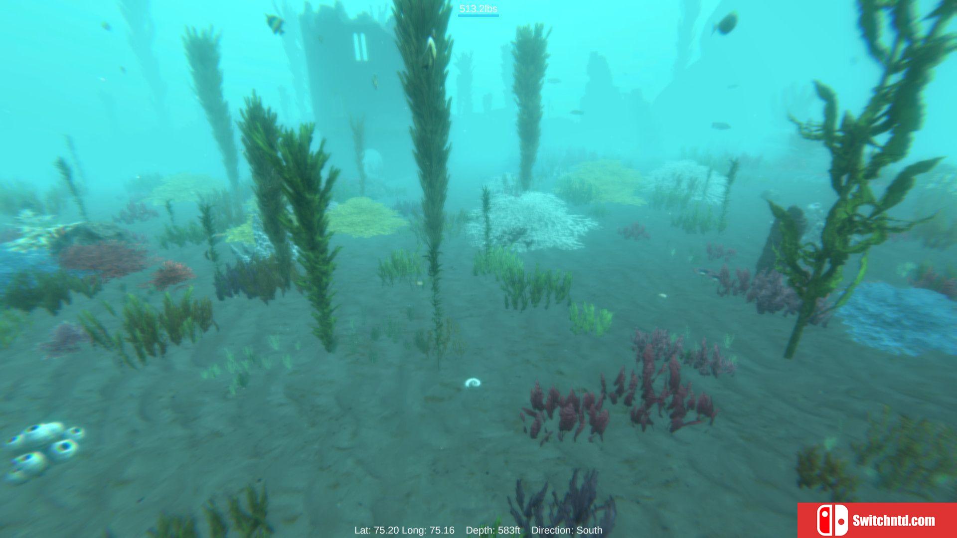 《阿尔法鲨（Alpha Shark）》DARKSiDERS镜像版[EN]_4