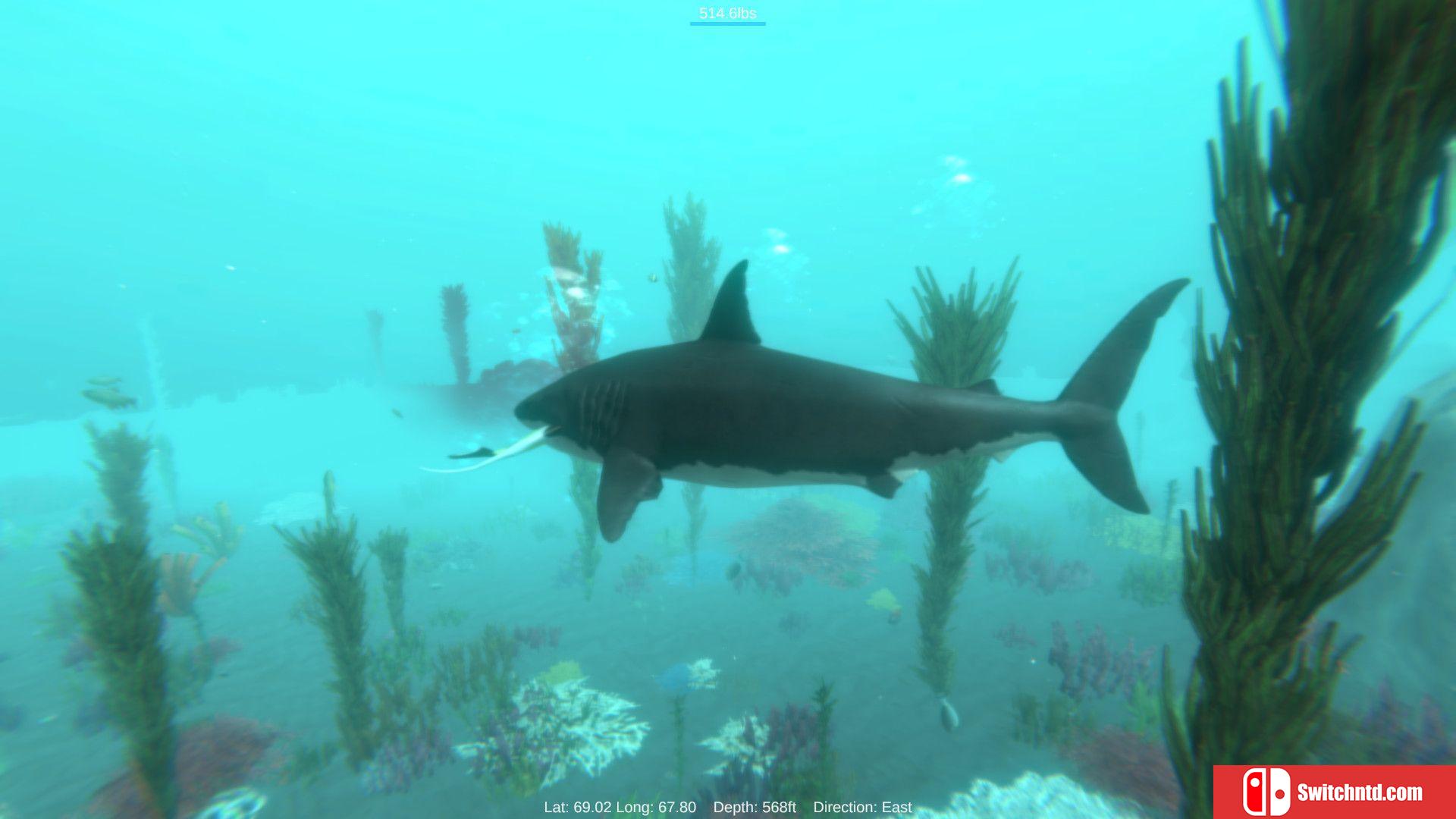 《阿尔法鲨（Alpha Shark）》DARKSiDERS镜像版[EN]_3