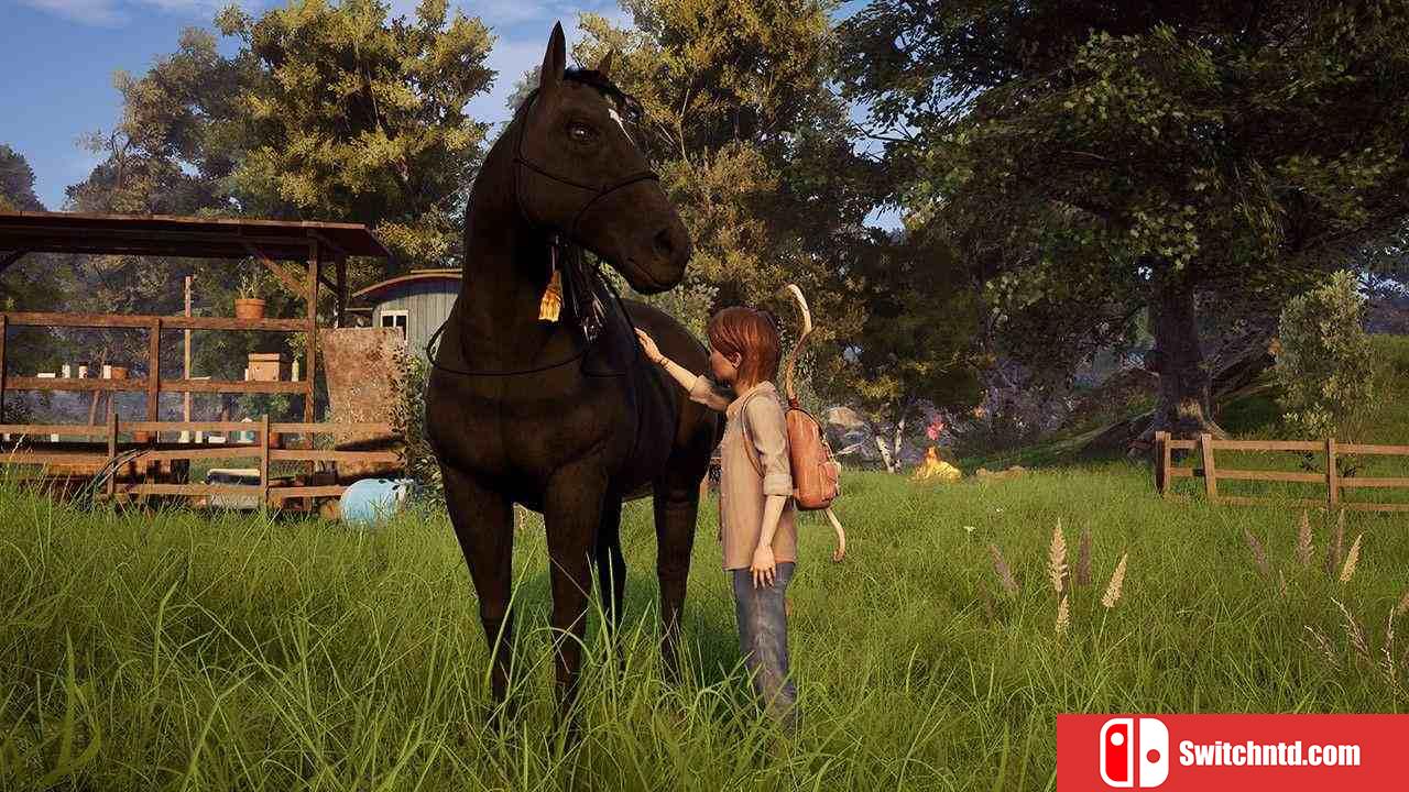《风暴：意外的到来（Windstorm: An Unexpected Arrival）》PLAZA镜像版[EN]_1