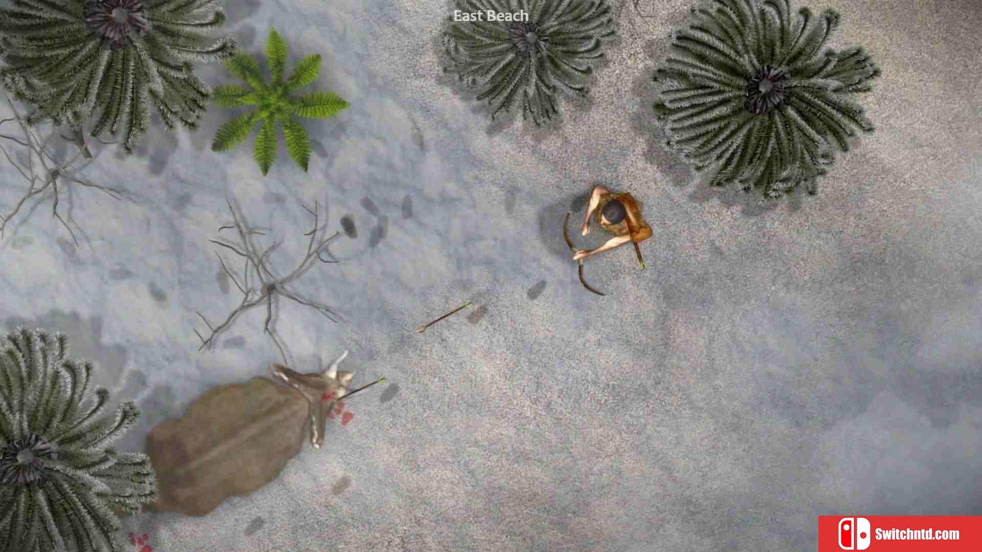 《恐龙系统（DinoSystem）》Build 7379707 P2P硬盘版[EN]_4