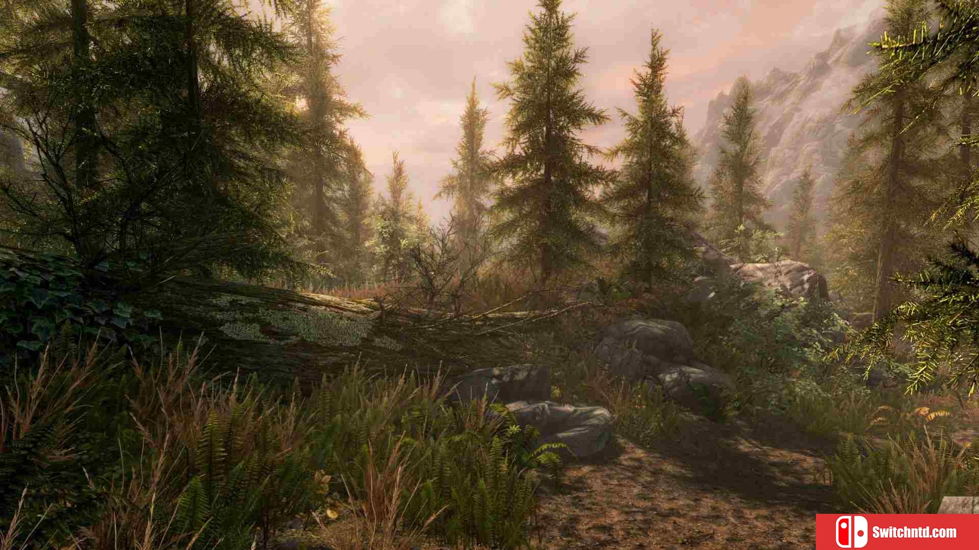 《上古卷轴5：周年纪念版（The Elder Scrolls V: Skyrim AE）》P2P硬盘版[EN]_1