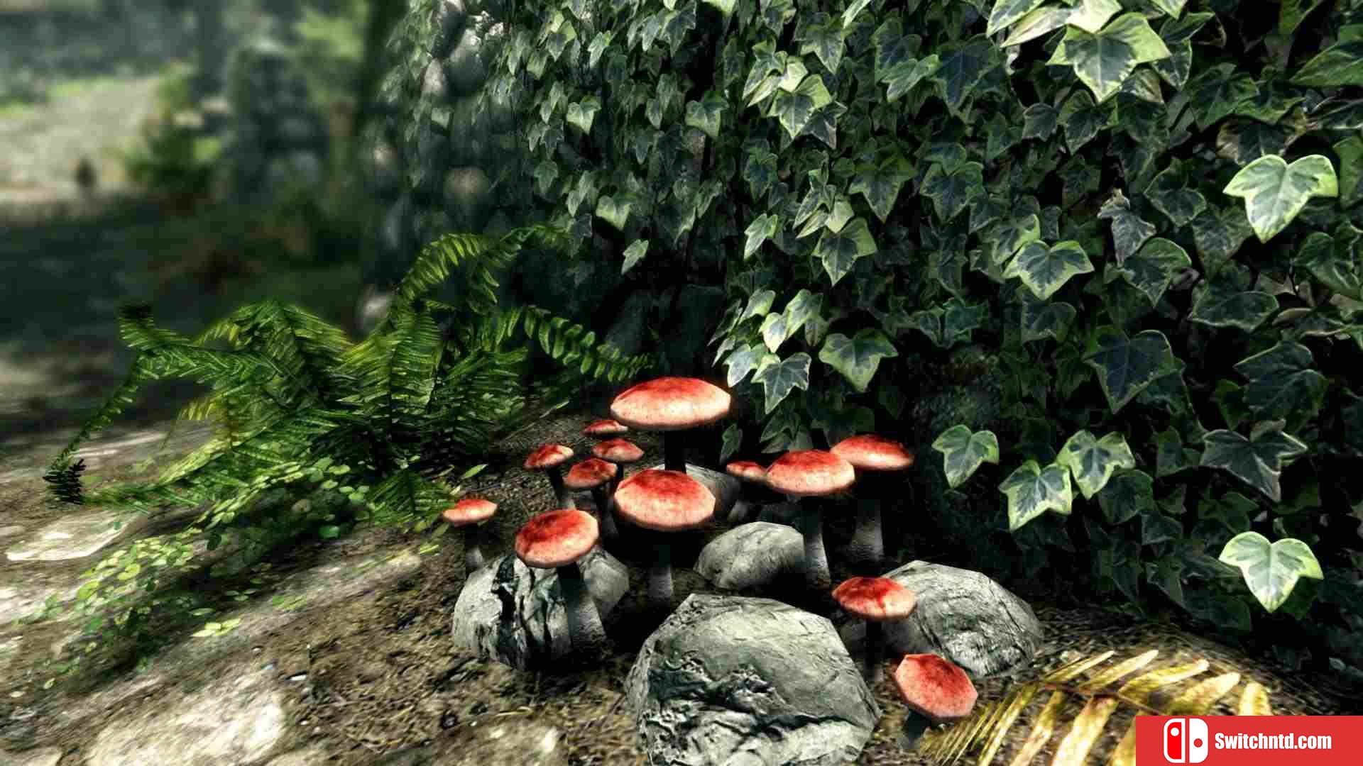 《上古卷轴5：周年纪念版（The Elder Scrolls V: Skyrim AE）》P2P硬盘版[EN]_4