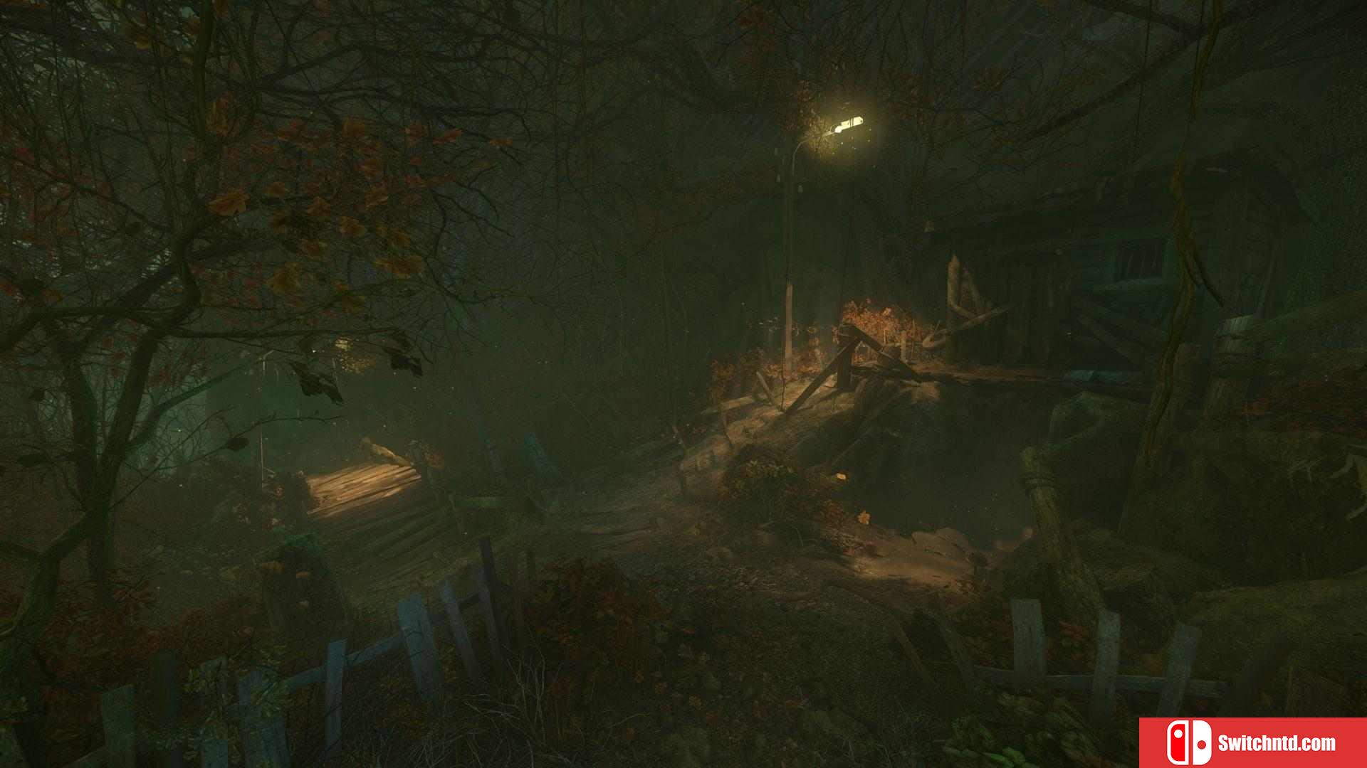 《诅咒丛林（The Cursed Forest）》v1.0.6 七国语言 PLAZA镜像版[EN]_3