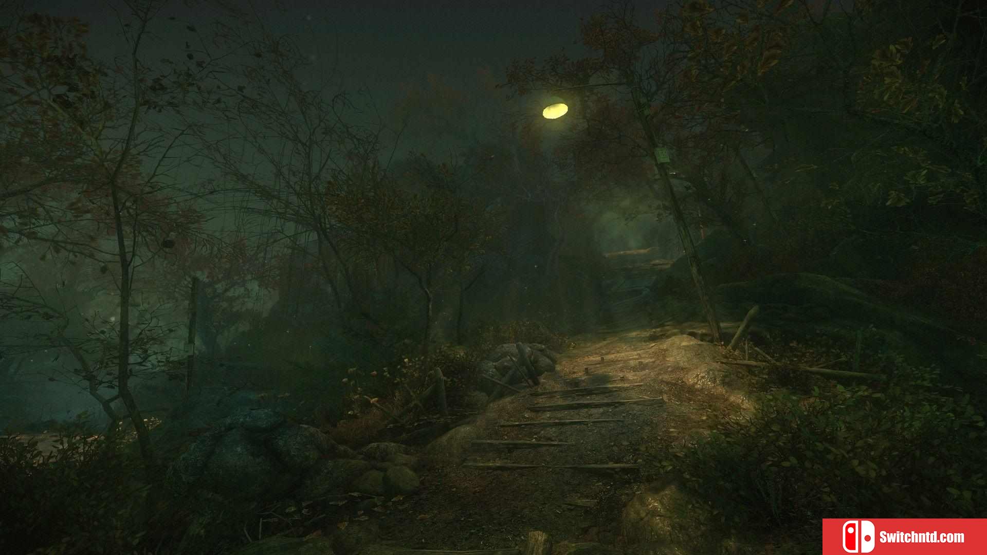 《诅咒丛林（The Cursed Forest）》v1.0.6 七国语言 PLAZA镜像版[EN]_4