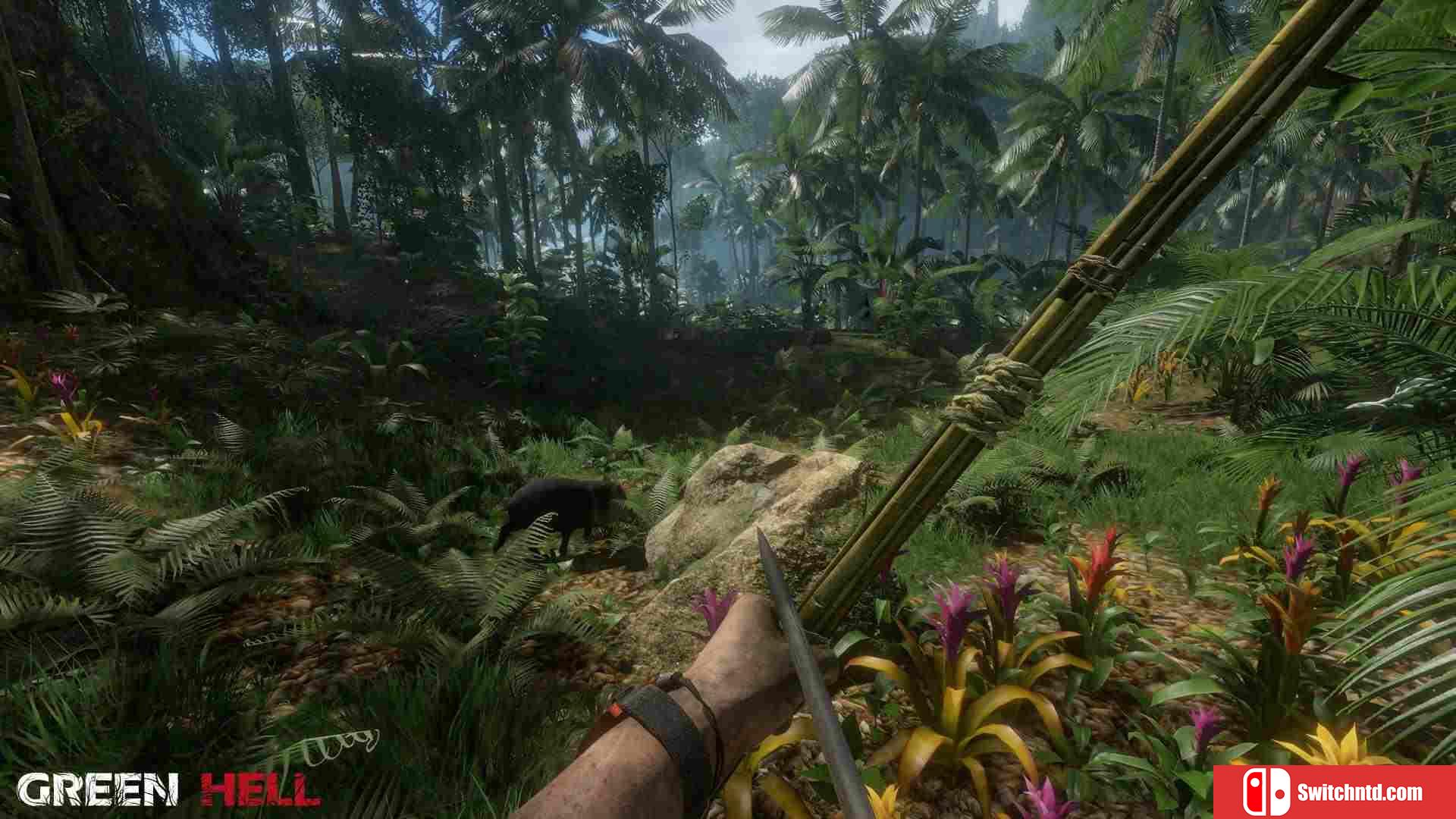 《绿色地狱（Green Hell）》Early Access 免安装未加密版[EN]_3