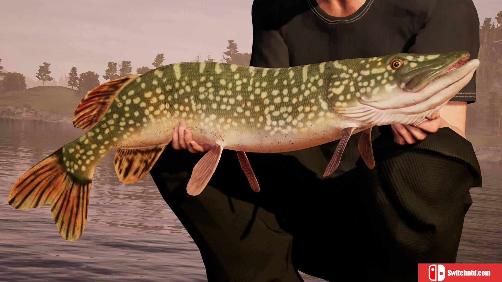 《钓鱼模拟世界（Fishing Sim World）》集成Lake Arnold DLC CODEX镜像版[EN]_3