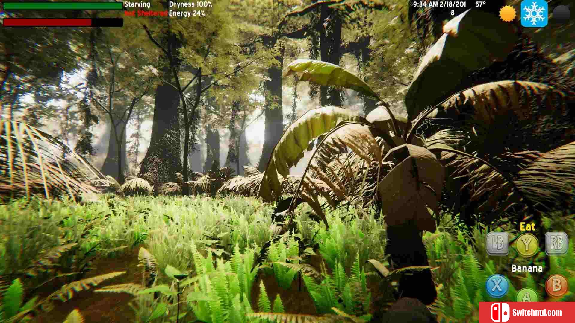 《孤独的大猩猩（The Lonely Gorilla）》TiNYiSO镜像版[EN]_2