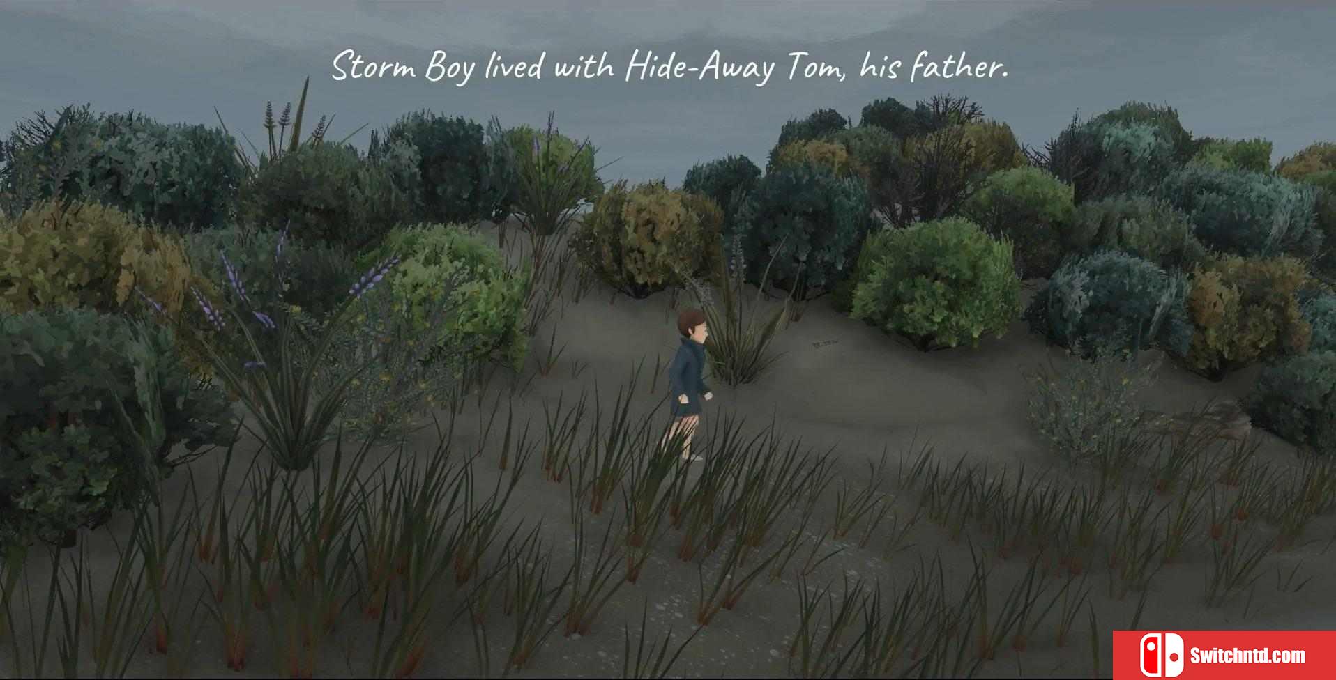 《风暴男孩（Storm Boy）》DARKSiDERS硬盘版[EN]_4