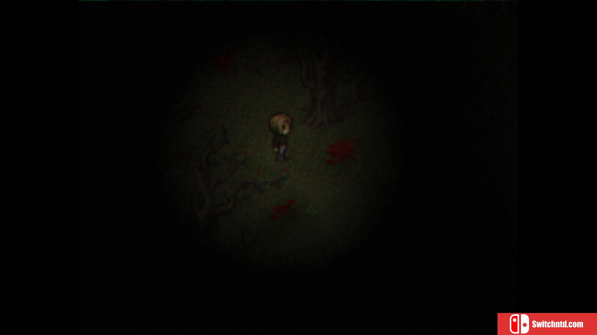《Cult of the Glitch King（Cult of the Glitch King）》DARKZER0硬盘版[EN]_4