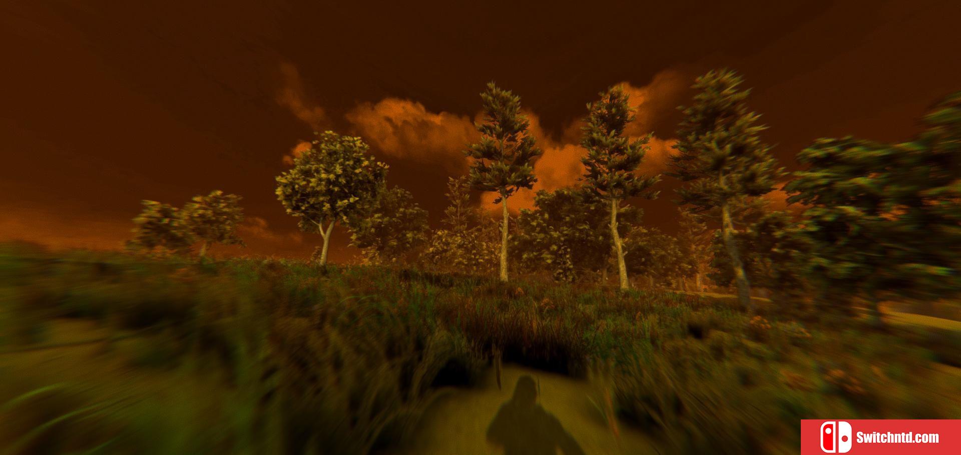 《逃避战争：死亡森林（ESCAPE FROM VOYNA: Dead Forest）》PLAZA镜像版[EN]_5