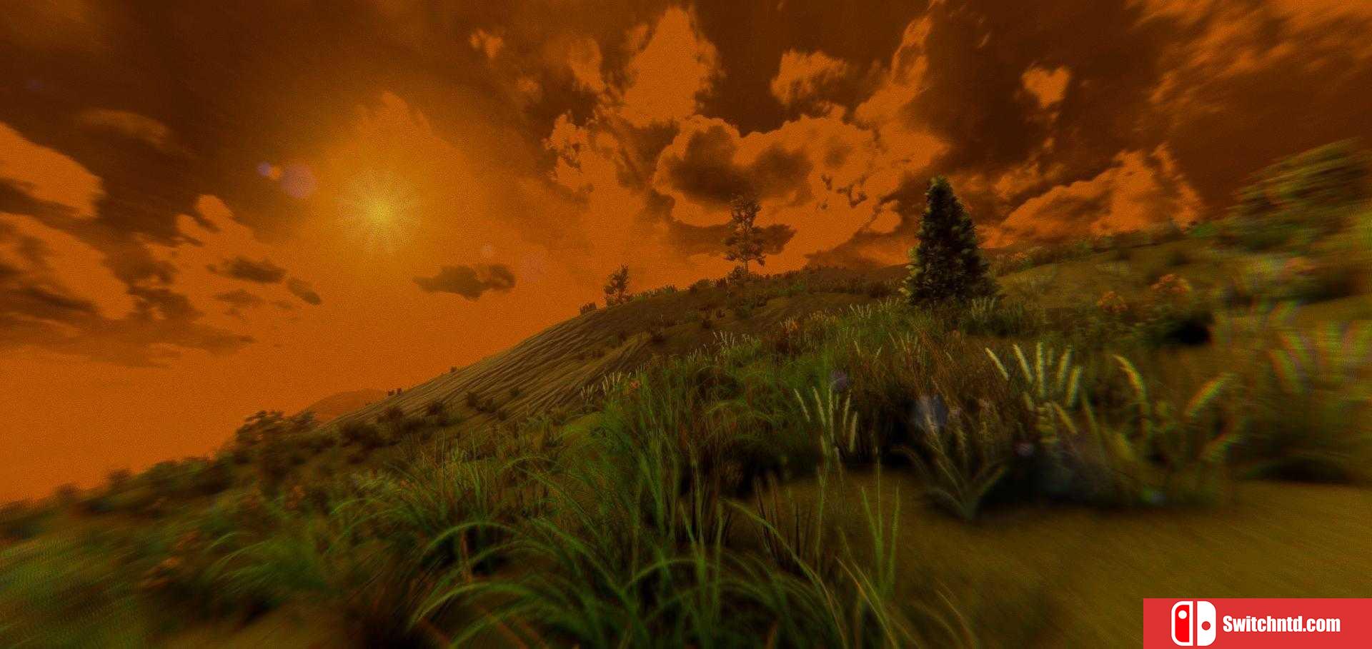 《逃避战争：死亡森林（ESCAPE FROM VOYNA: Dead Forest）》PLAZA镜像版[EN]_4