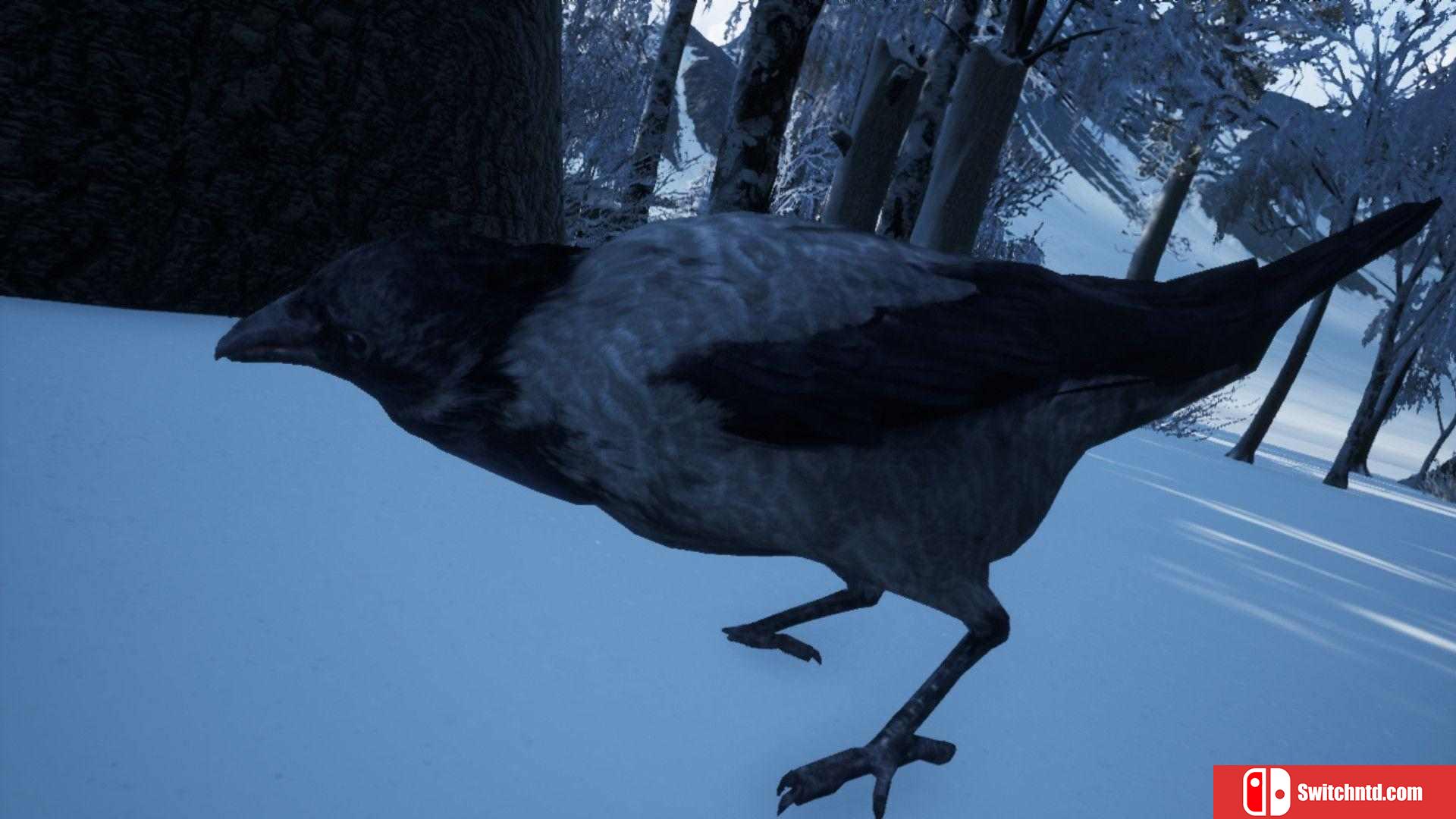 《徒步模拟器2018（Hiking Simulator 2018）》PLAZA镜像版[EN]_2
